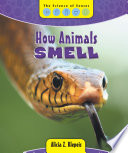 How Animals Smell cover