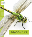 Dragonflies cover