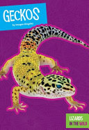 Geckos cover