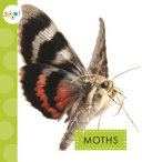 Moths cover
