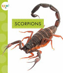 Scorpions cover