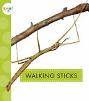 Walking Sticks cover