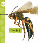Wasps cover