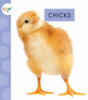 Chicks cover