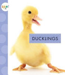 Ducklings cover