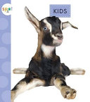 Kids cover