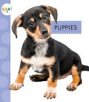 Puppies cover