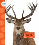 Deer cover