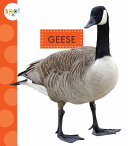 Geese cover