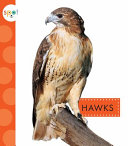 Hawks cover