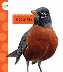 Robins cover