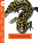 Salamanders cover