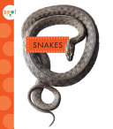 Snakes cover