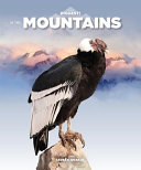 In the Mountains cover