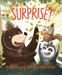 Surprise! cover