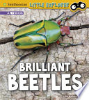 Brilliant Beetles: A 4D Book cover