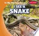 I See a Snake cover