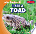 I See a Toad cover