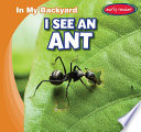 I See an Ant cover