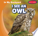 I See an Owl cover