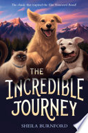 The Incredible Journey cover