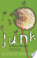 Junk cover