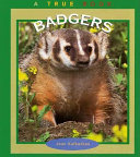 Badgers cover
