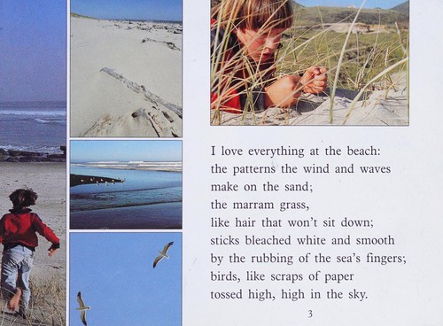 I Love the Beach cover