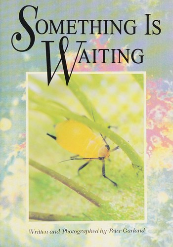 Something Is Waiting cover