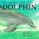 Imagine You Are a Dolphin cover