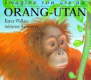 Imagine You Are an Orang-Utan cover