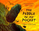 The Pebble in My Pocket cover