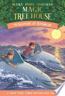 Dolphins at Daybreak cover