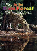 In the Rain Forest cover