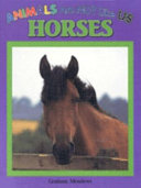 Horses cover