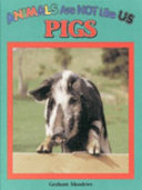 Pigs cover