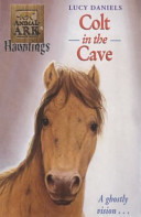Colt in the Cave cover