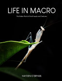 Insects cover