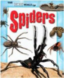 Spiders cover