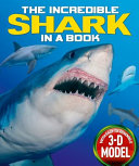 Sharks cover