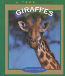 Giraffes cover