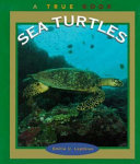 Sea Turtles cover