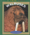 Walruses cover