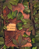 The Valley of Secrets cover