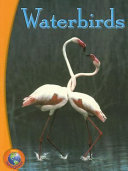 Waterbirds cover