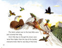 The King of the Birds cover