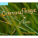 Camouflage cover