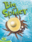 Big Spider cover
