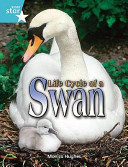 Life Cycle of a Swan cover