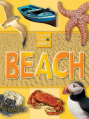 Beach cover